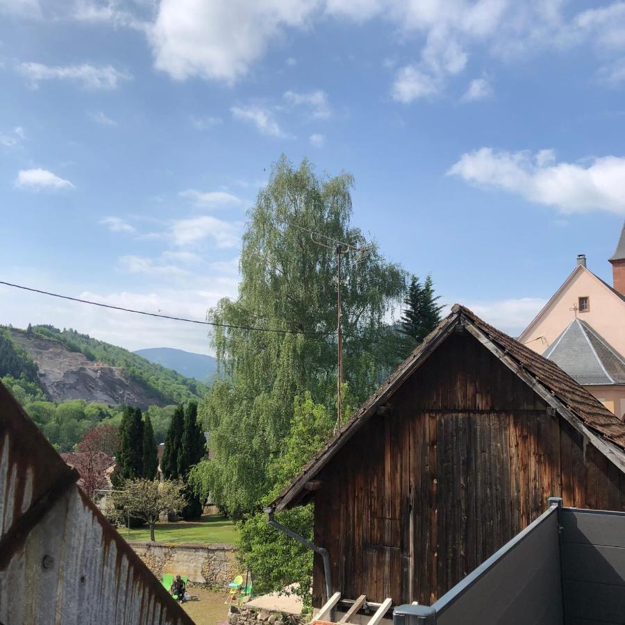 Appartement Vintage A L Ancienne Forge Muhlbach-sur-Munster Kültér fotó