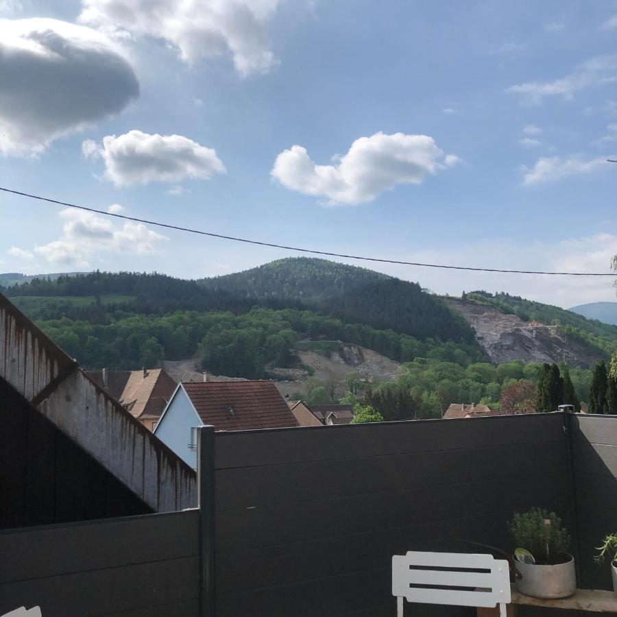 Appartement Vintage A L Ancienne Forge Muhlbach-sur-Munster Kültér fotó